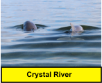 Crystal River